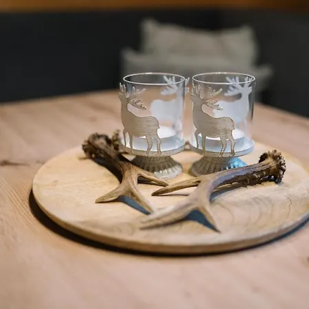 Dağ evi Steinnock Bad Kleinkirchheim