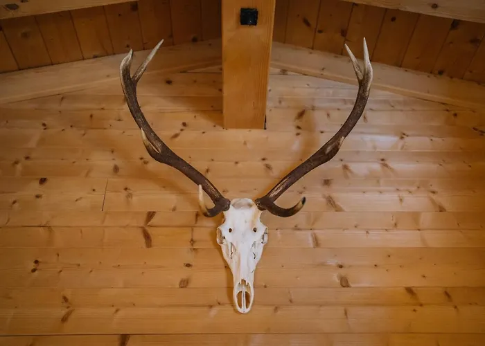 Domek alpejski Steinnock *